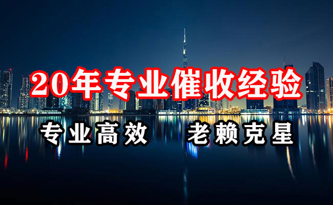 利辛追债公司