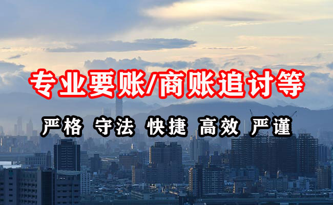 利辛追债公司
